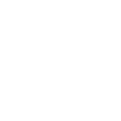Discovery & Strategy