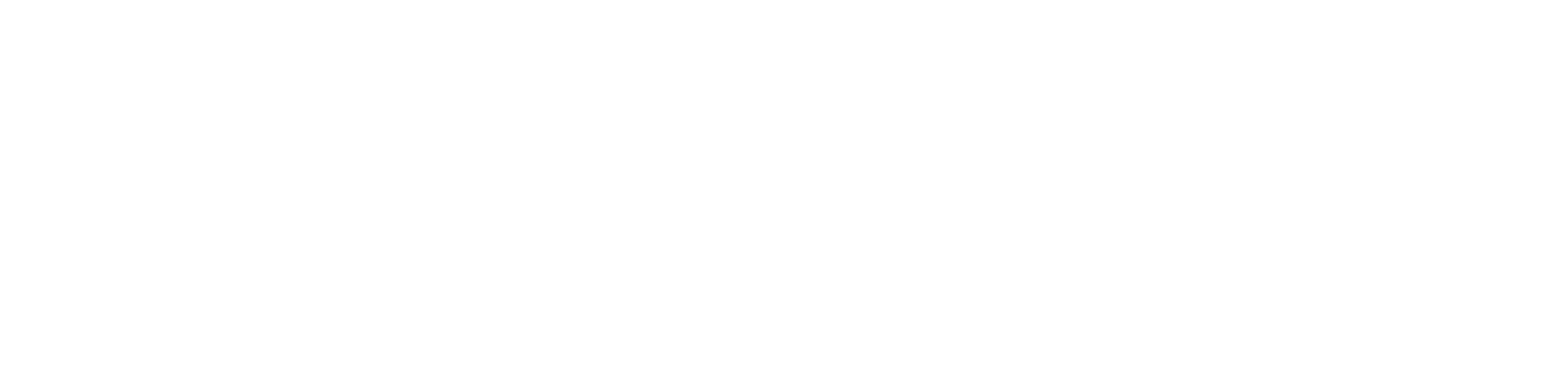 Ariston IT Services